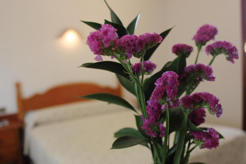 קורדובה Hotel Abadi מראה חיצוני תמונה